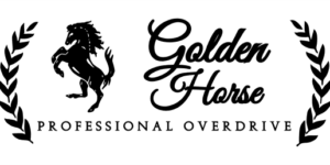 golden-horse-1-eu3fgkaxpfb6cpzhnxvq golden-horse-1-eu3fgkaxpfb6cpzhnxvq